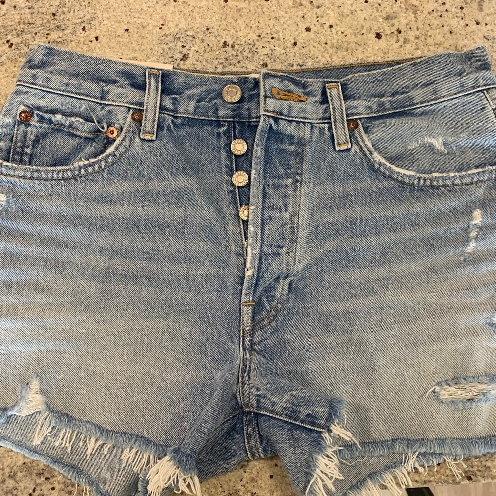 Agolde PARKER LONG LOOSE FIT VINTAGE SHORT